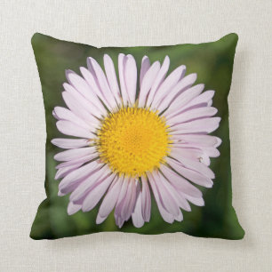 Washington, Cascade Range, Mount Baker Kussen