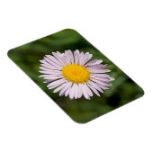 Washington, Cascade Range, Mount Baker Magneet (Rechterzijde)