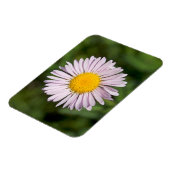 Washington, Cascade Range, Mount Baker Magneet (Linkerzijde)