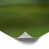 Washington, Cascade Range, Mount Baker Poster (Hoek)