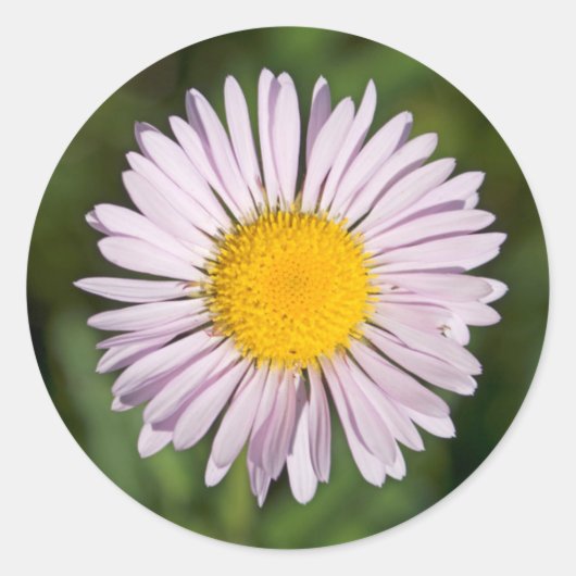 Washington, Cascade Range, Mount Baker Ronde Sticker (Voorkant)