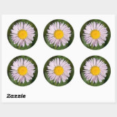 Washington, Cascade Range, Mount Baker Ronde Sticker (Vel)