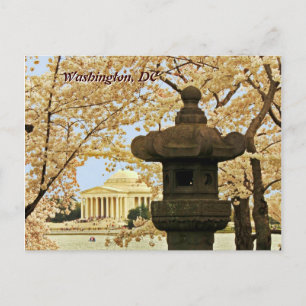 Washington Cherry Blossom Briefkaart