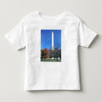 WASHINGTON, D.C. VS. Het Washington Monument verri