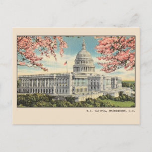 Washington DC Briefkaart US Capitol Cherry Blossom