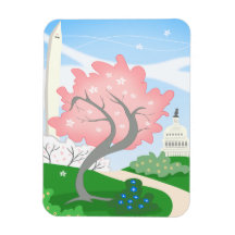 Washington DC Cherry Blossom in Bloom
