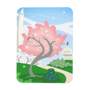 Washington DC Cherry Blossom in Bloom Magneet
