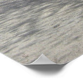 washington dc cherry blossom poster (Hoek)