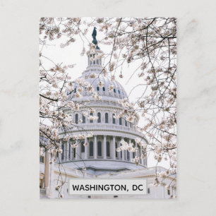 Washington DC Cherry Blossom Travel Foto Briefkaart