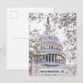 Washington DC Cherry Blossom Travel Foto Briefkaart (Voorkant / Achterkant)