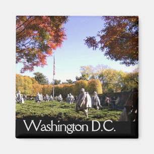 Washington DC Fridge Magnet Magneet