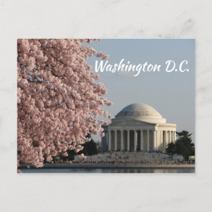 Washington DC in Briefkaart voorjaar