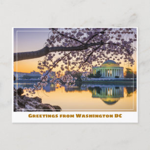Washington DC Jefferson Memorial met kersenbloesem Briefkaart