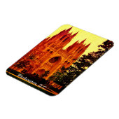 Washington, DC Magneet (Linkerzijde)