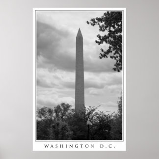 Washington DC Poster