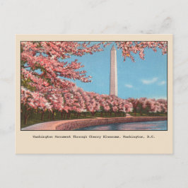 Washington DC Washington Monument Cherry Blossom Briefkaart