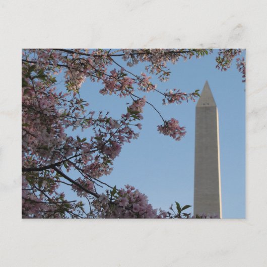 Washington Monument Briefkaart (Voorkant)