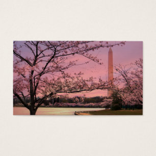 Washington Monument Cherry Blossom Festival