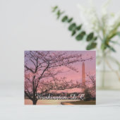 Washington Monument Cherry Blossom Festival Briefkaart (Staand voorkant)