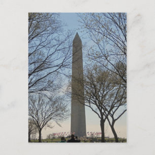 Washington Monument Cherry Blossom Festival Briefkaart