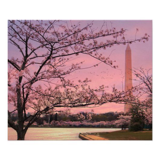 Washington Monument Cherry Blossom Festival Foto Afdruk (Voorkant)