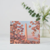 Washington Monument - Cherry Blossoms Briefkaart (Staand voorkant)