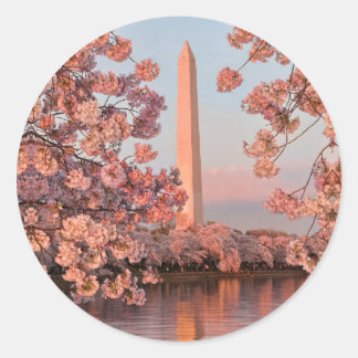Washington Monument en Kersenbloesem Sticker