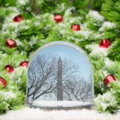 Washington Monument in Winter I Landscape (Noël)