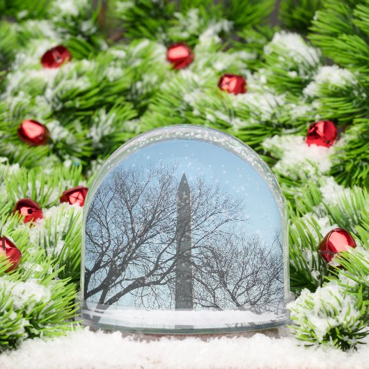 Washington Monument in Winter I Landscape (Noël)