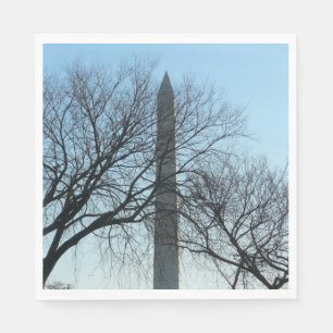 Washington Monument in Winter I Landschap Servet