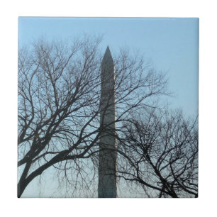 Washington Monument in Winter I Landschap Tegeltje