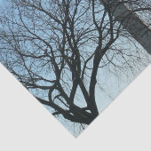 Washington Monument in Winter I Landschap Tissuepapier (Detail)