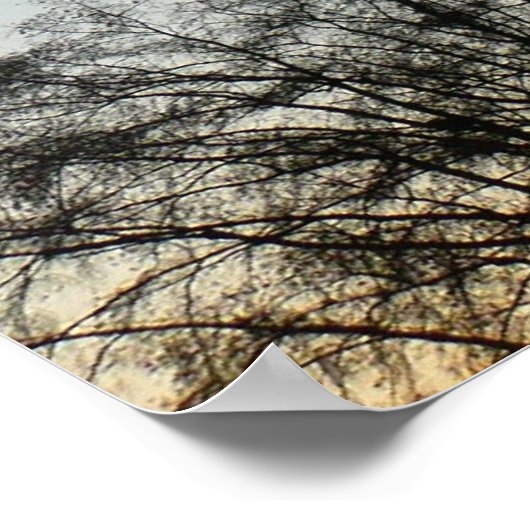 Washington Monument in Winter II Landschap Poster (Hoek)