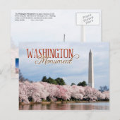 Washington Monument met kersenbloesems Briefkaart (Voorkant / Achterkant)
