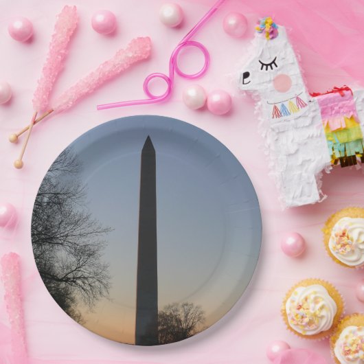Washington Monument op Sunset Papieren Bordje (Feest)