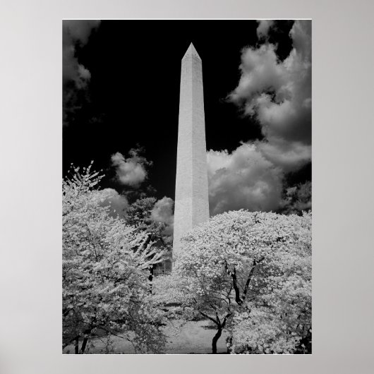 Washington Monument Poster (Voorkant)