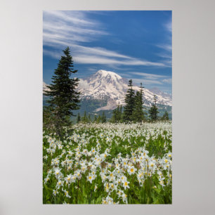 Washington, Mount Rainier Nationaal Park 1 Poster