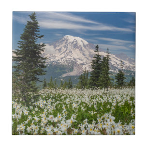 Washington, Mount Rainier Nationaal Park 1 Tegeltje