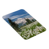 Washington, Mount Rainier National Park 1 Magneet (Rechterzijde)