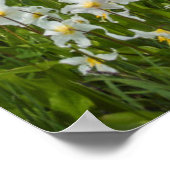 Washington, Mount Rainier National Park 1 Poster (Hoek)