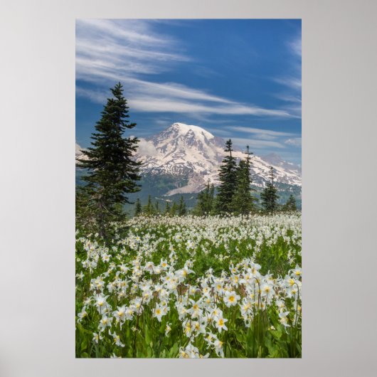 Washington, Mount Rainier National Park 1 Poster (Voorkant)