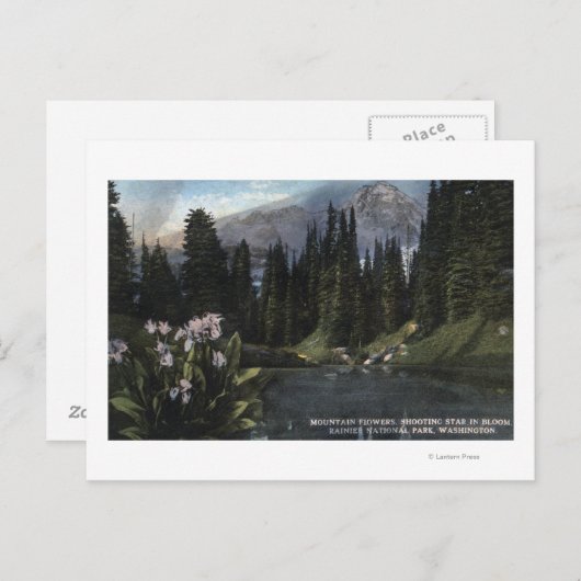 Washington - Nationaal Park Rainier, Shooting Sta Briefkaart (Voorkant / Achterkant)