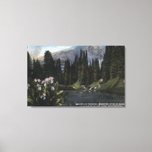 Washington - Nationaal Park Rainier, Shooting Sta Canvas Afdruk