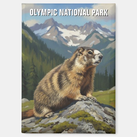 Washington Olympic National Park reizen Magneet (Voorkant)