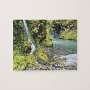 Washington, Olympic National Park, Seizoensgebonde Legpuzzel