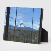 Washington opzetten, OF Fotoplaat (Zijkant)