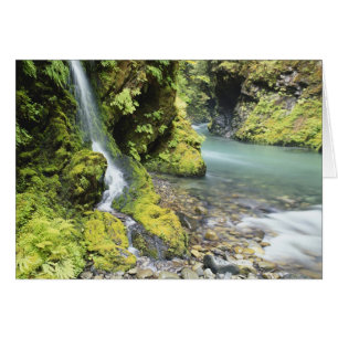 Washington, Parc national Olympique, Saisonnière
