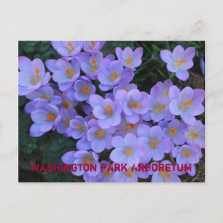 Washington Park Arboretum Aankondigingskaart