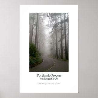 Washington Park Poster