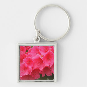 Washington, Seattle, Puget Sound, Discovery Park Sleutelhanger